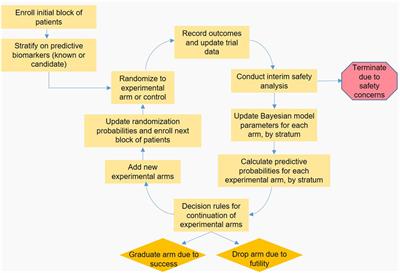 Arguing for Adaptive Clinical Trials in Sepsis